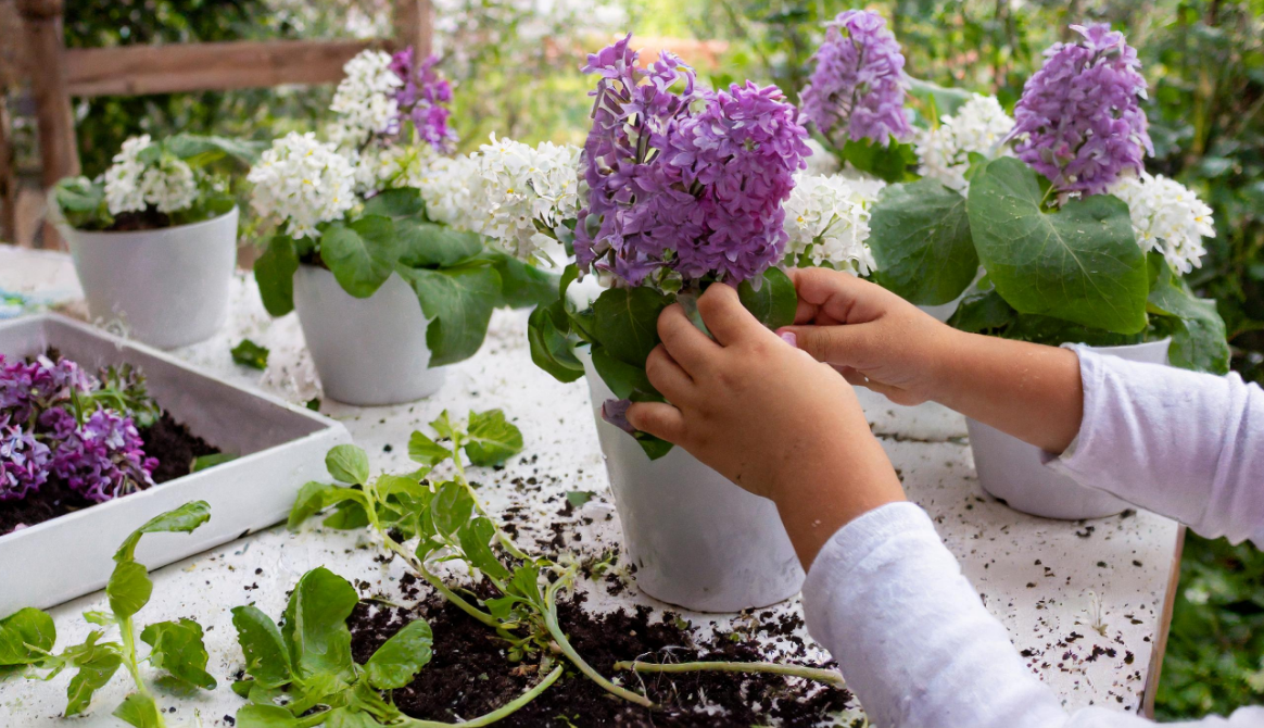 Unas manos de un niño tocando flores en un huerto